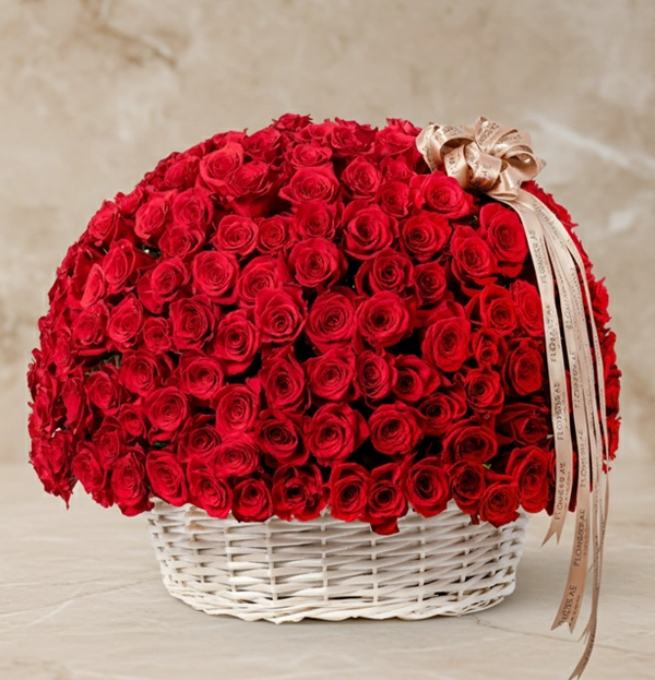 Red Rose Collection